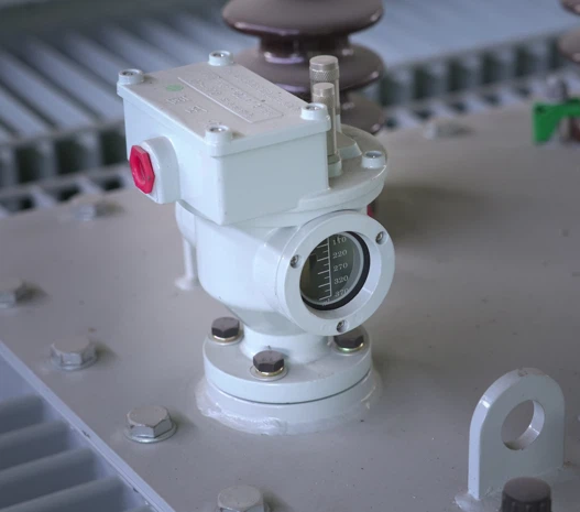 Pressure Relief Valve On A GNEE 1000 KVA Transformer Pressure Relief Valve On A GNEE 1000 KVA Transformer